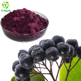 Natural Aronia Melanocarpa 25% 30% Anthocyanin Powder Aronia Chokeberry Extract