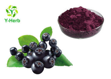 Natural Aronia Melanocarpa 25% 30% Anthocyanin Powder Aronia Chokeberry Extract