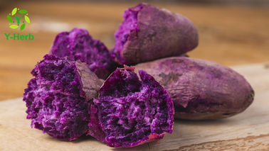 Pure Dried Vegetable Extract Powder Purple Sweet Potato Extract Powder