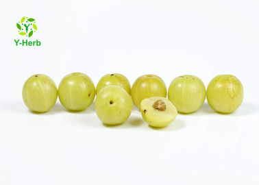 Phyllanthus Emblica Herbal Extract Powder Gooseberry Amla Berry Fruit Extract Powder